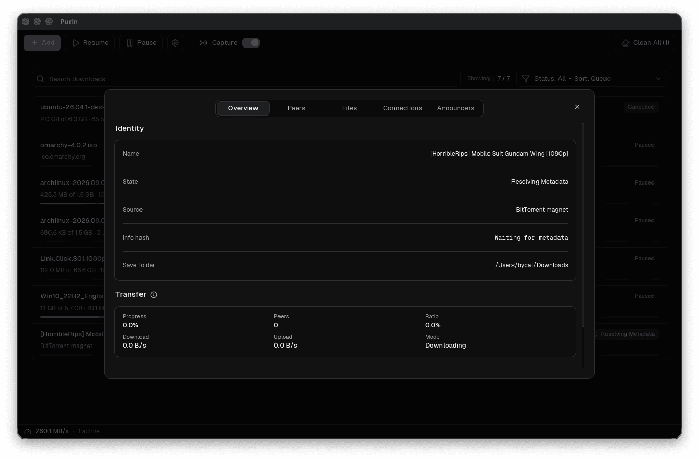 Purin torrent overview with identity and transfer details