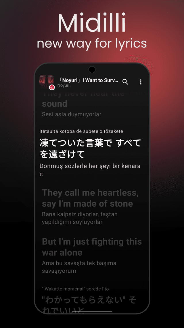 Lyrics Display