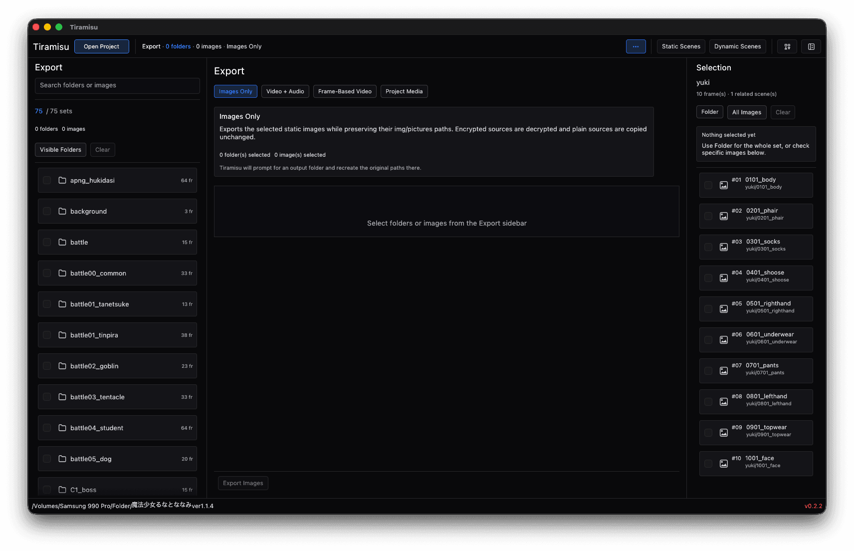 The Export panel with its four modes — Images Only, Video + Audio, Frame-Based Video and Project Media — and the Selection panel beside it